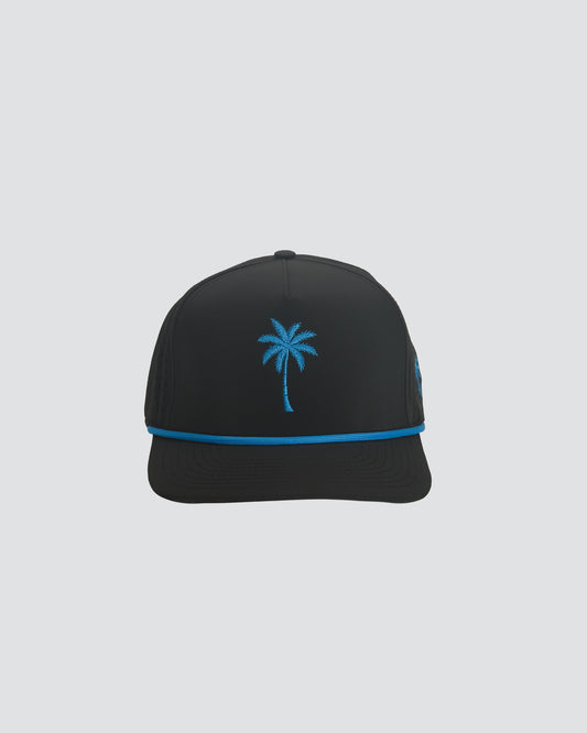 Island Palm