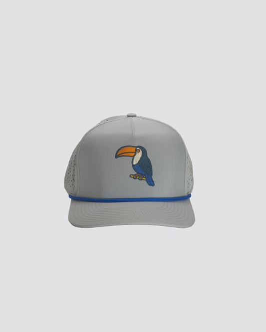 Gray cap with a toucan embroidery on a white background